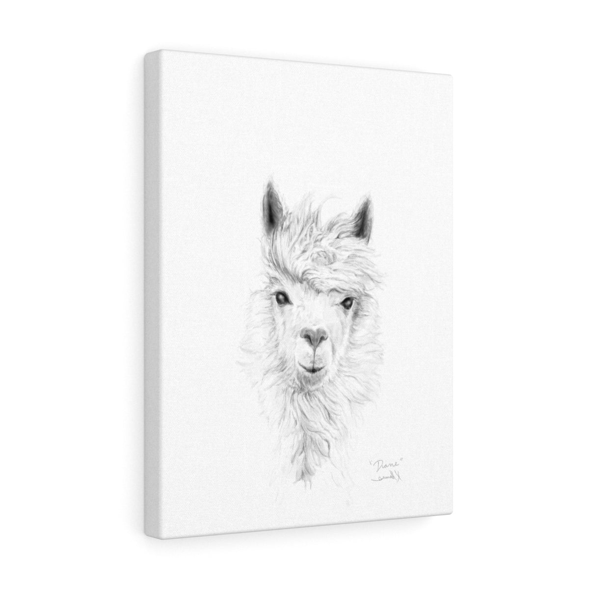 DIANE Llama - Art Canvas