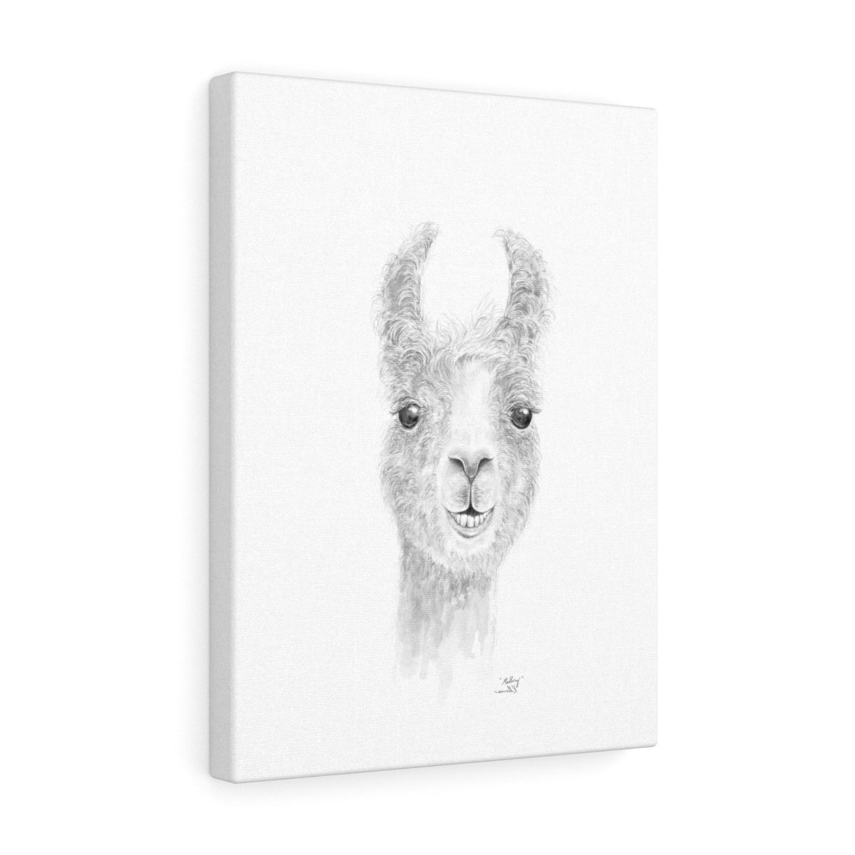 MALLORY Llama - Art Canvas