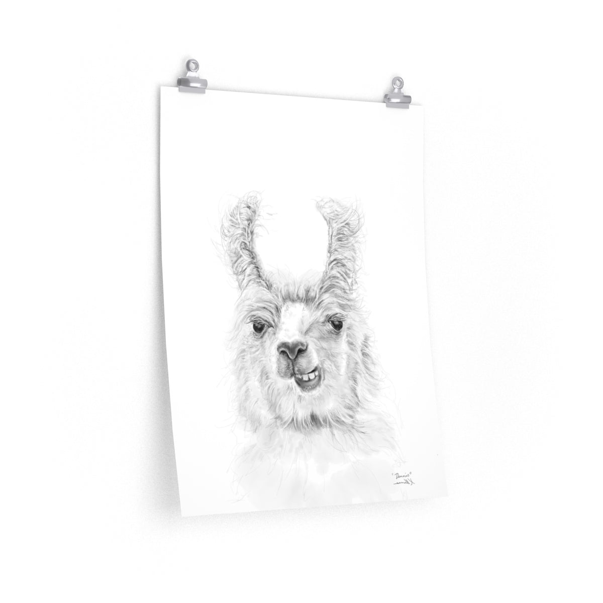 DENNIS Llama- Art Paper Print
