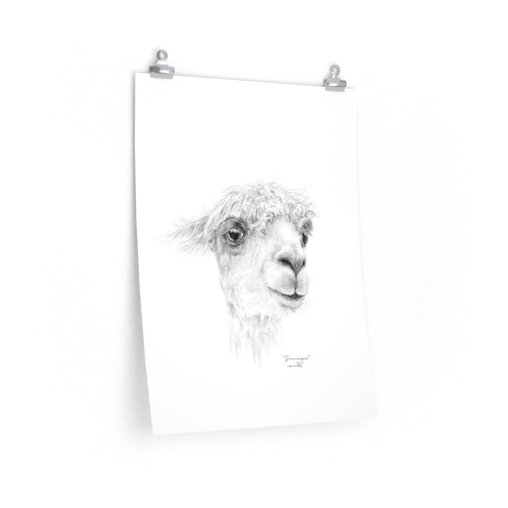 DOMINIQUE Llama- Art Paper Print