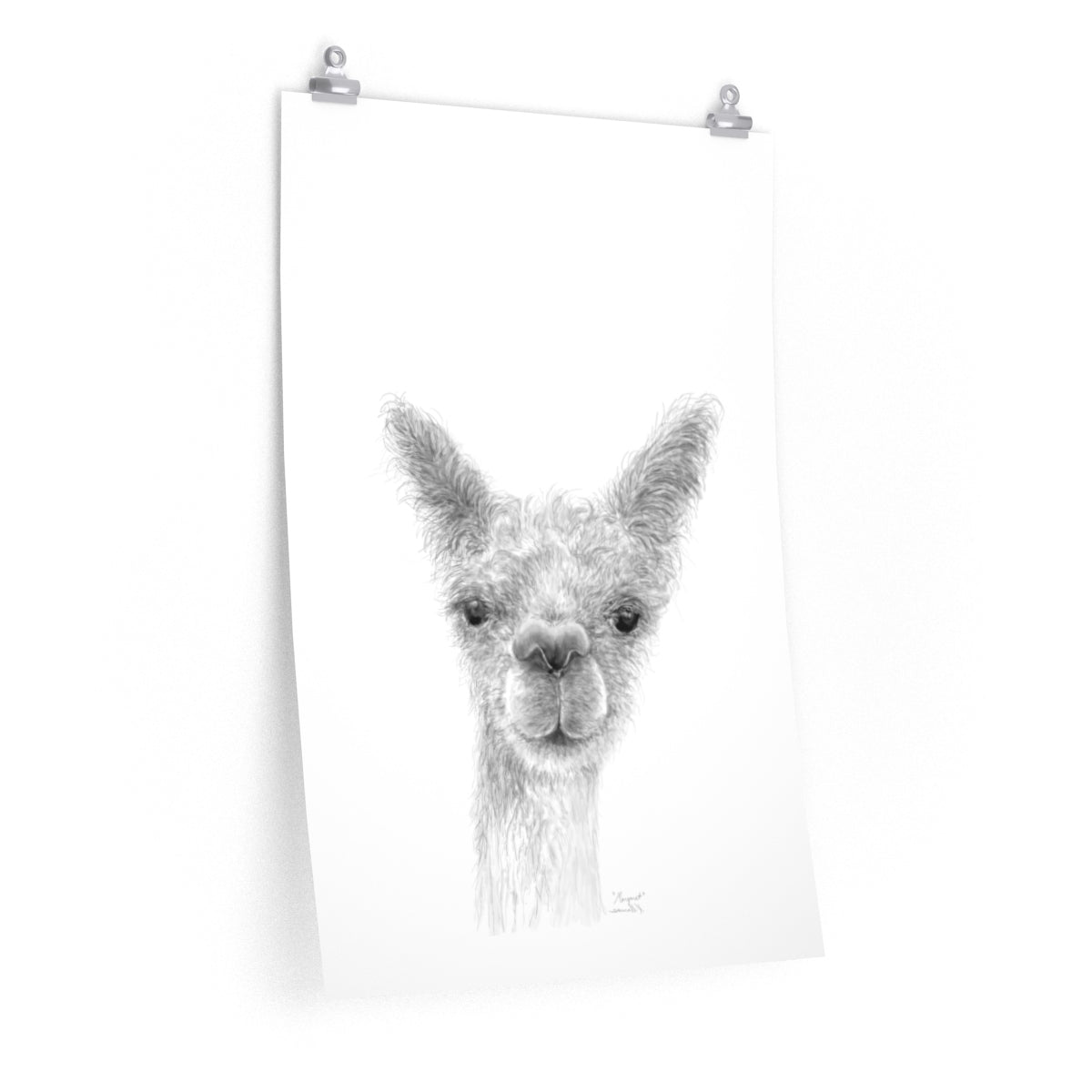 MARGARET Llama- Art Paper Print