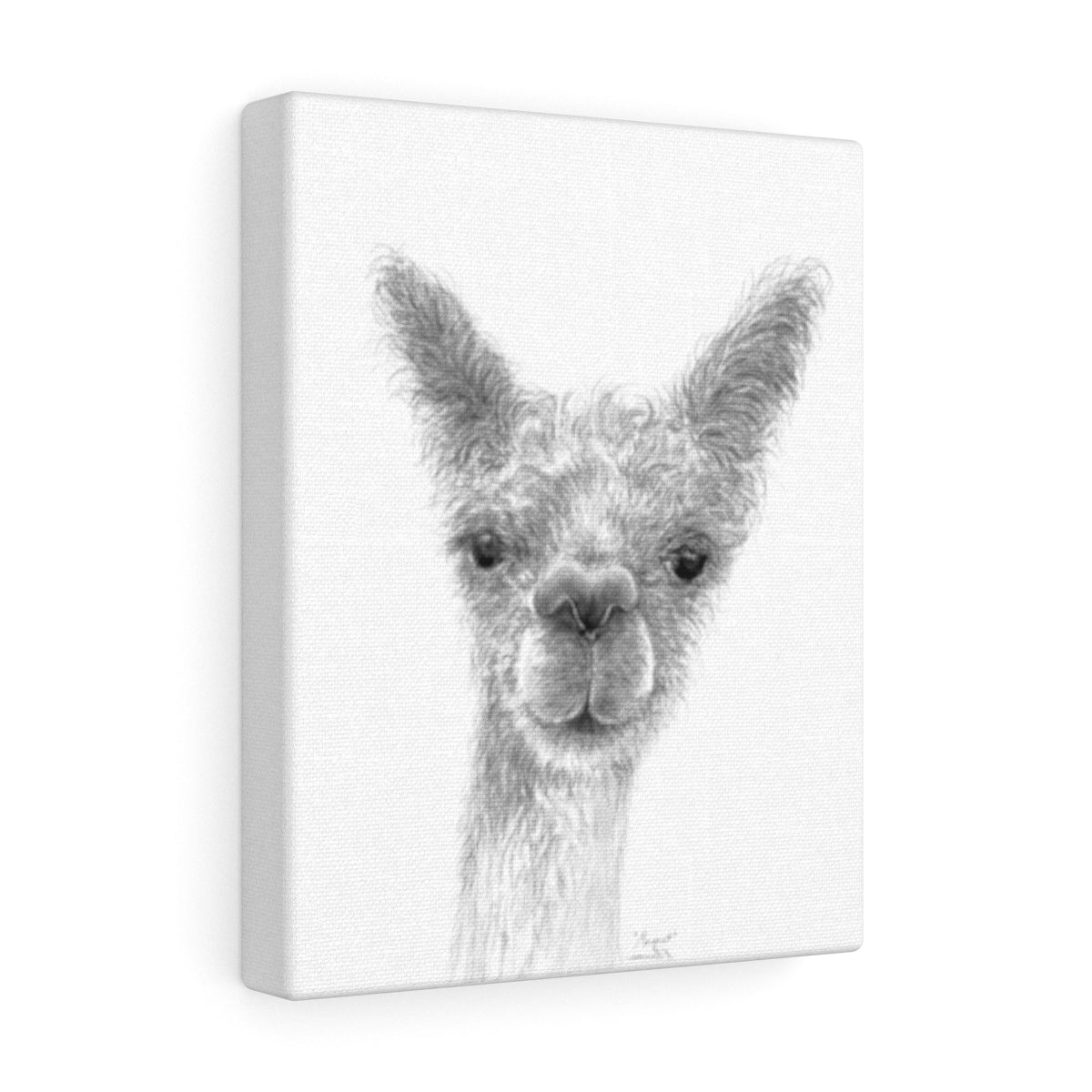MARGARET Llama - Art Canvas