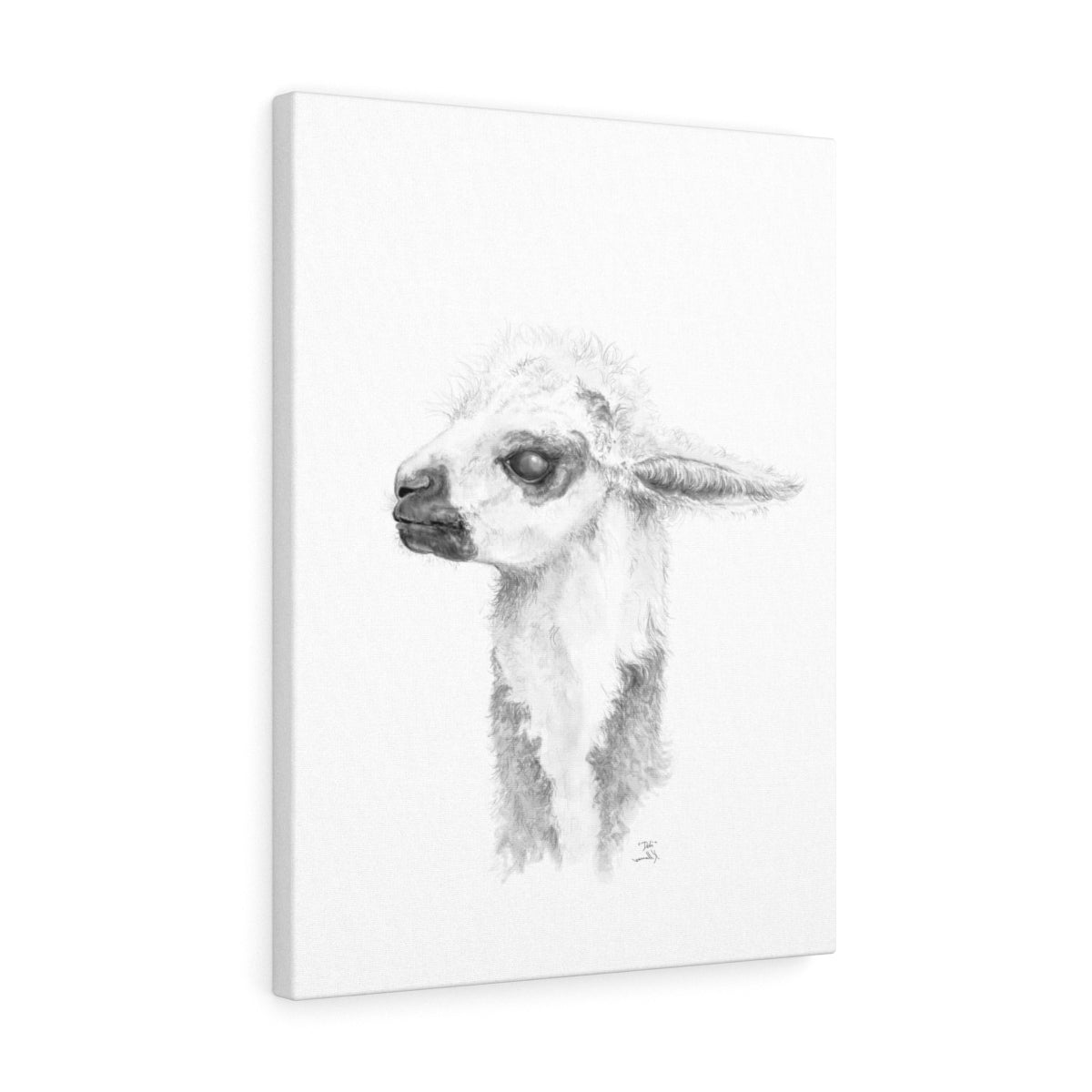 Debi Llama- Art Canvas