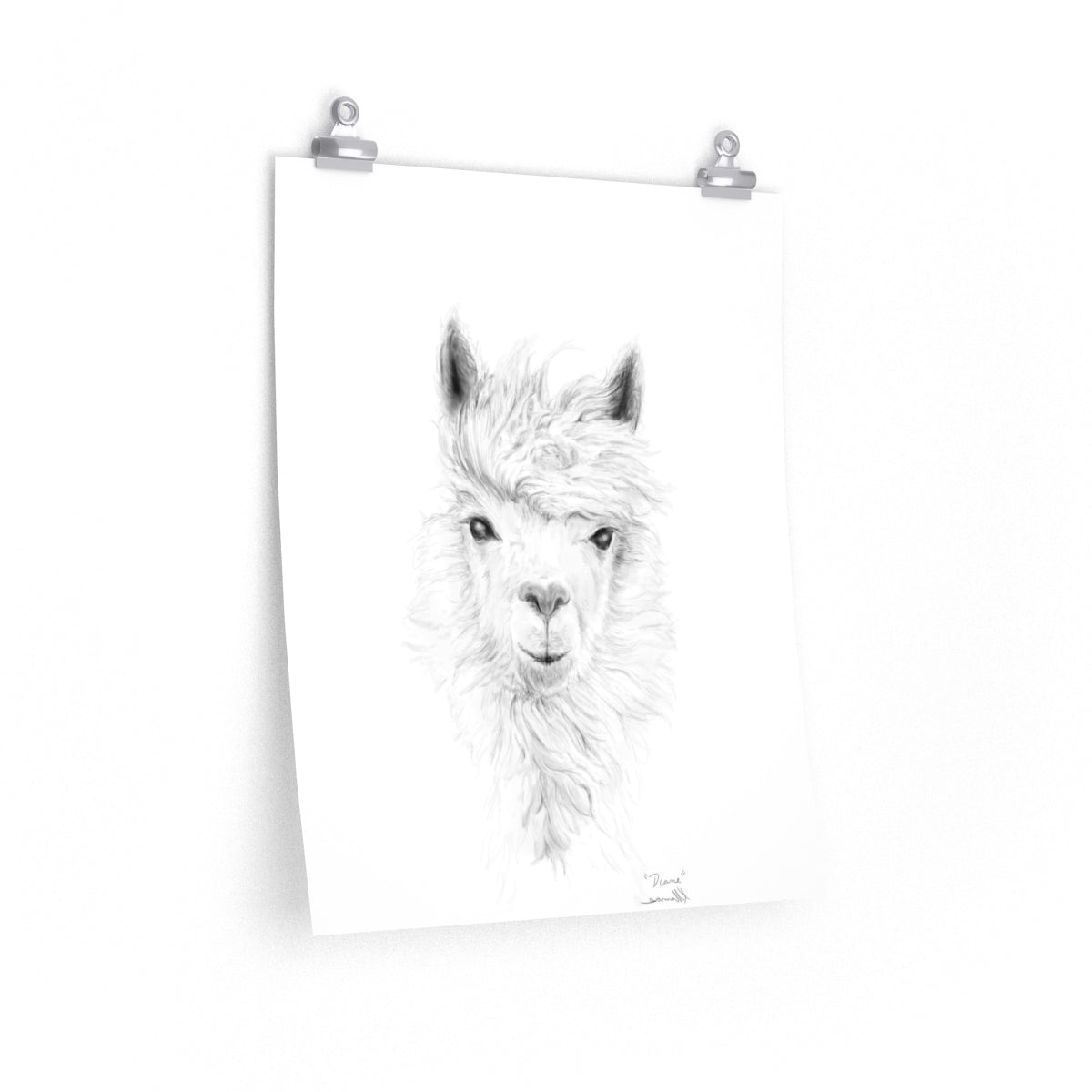 DIANE Llama- Art Paper Print