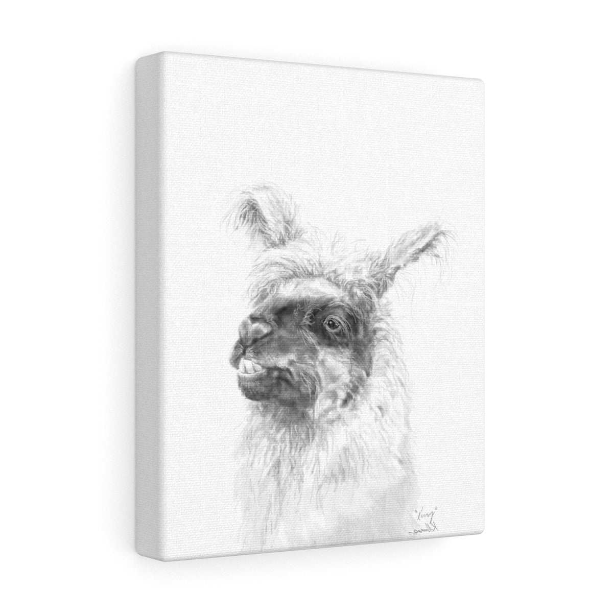 KERRY Llama - Art Canvas