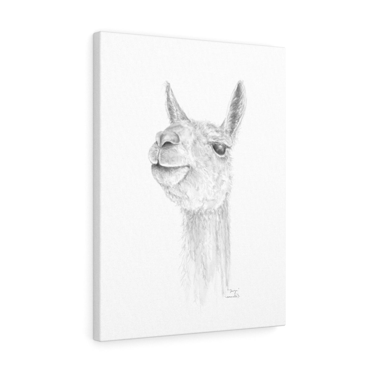 DAVYN Llama - Art Canvas