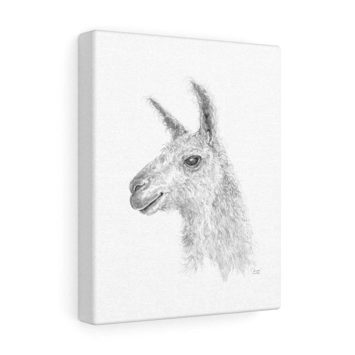 LENNOX Llama - Art Canvas