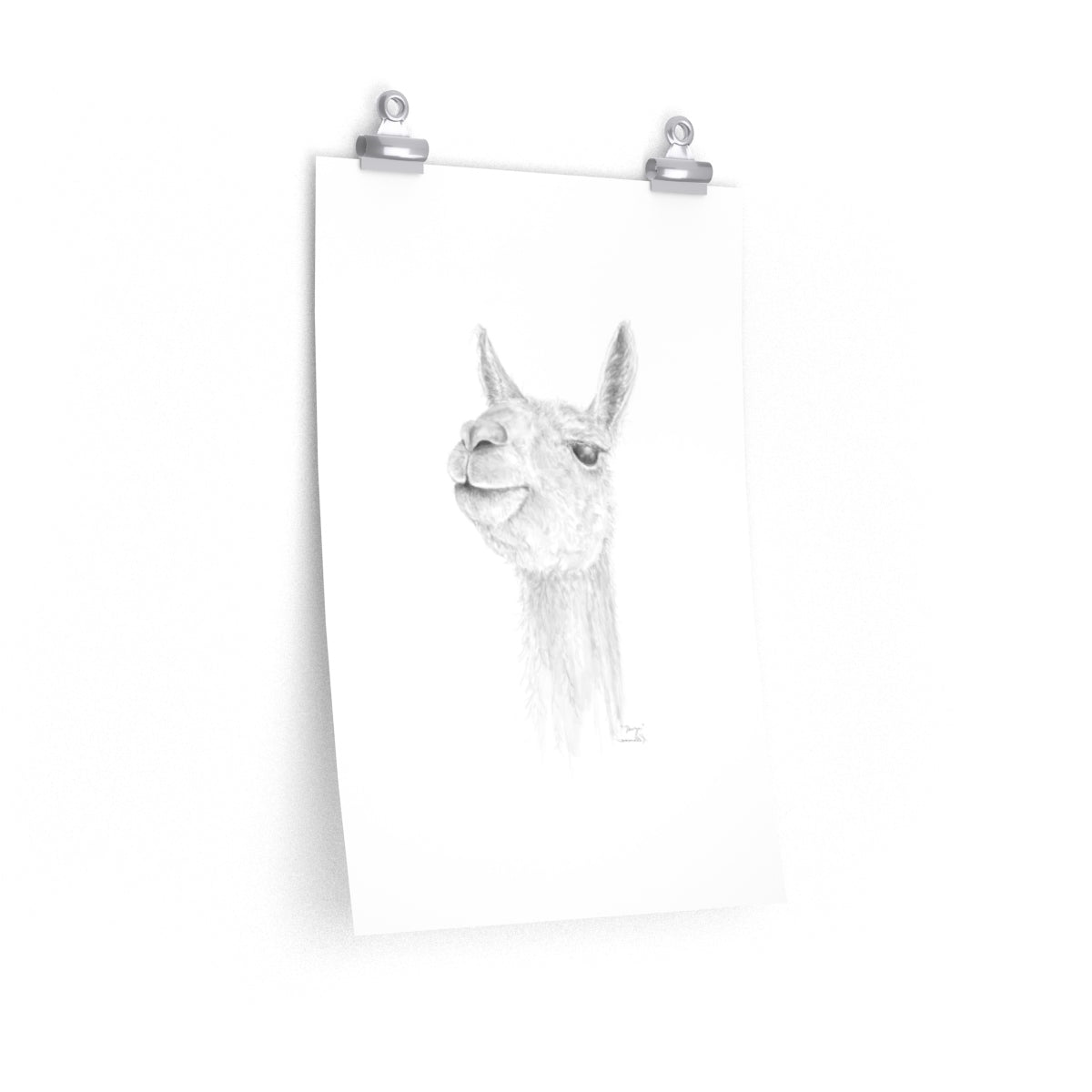 DAVYN Llama- Art Paper Print