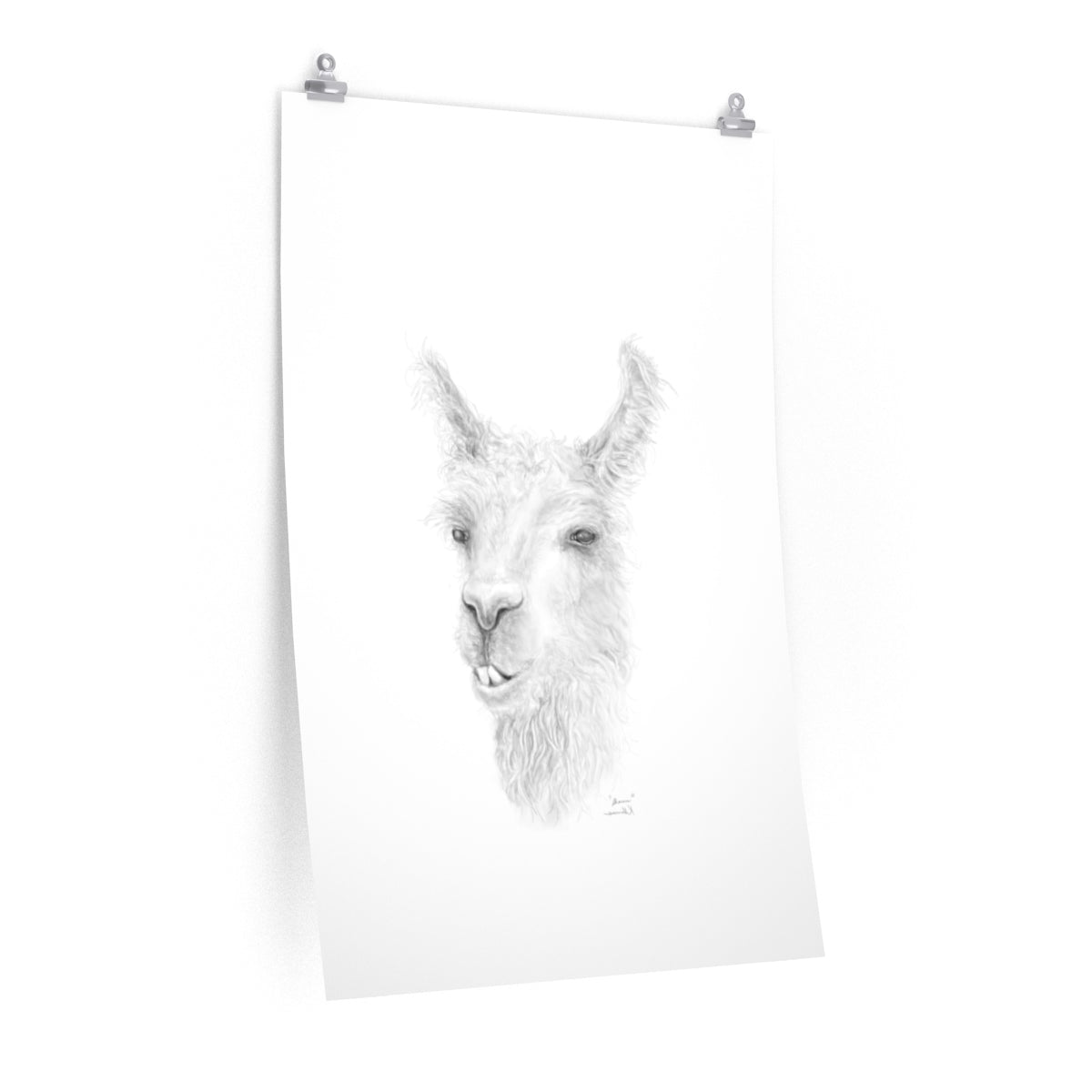 SHAUN Llama- Art Paper Print