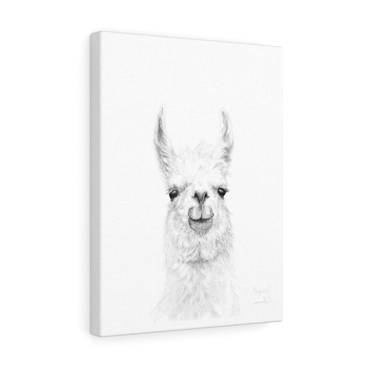 MAGNUS Llama - Art Canvas