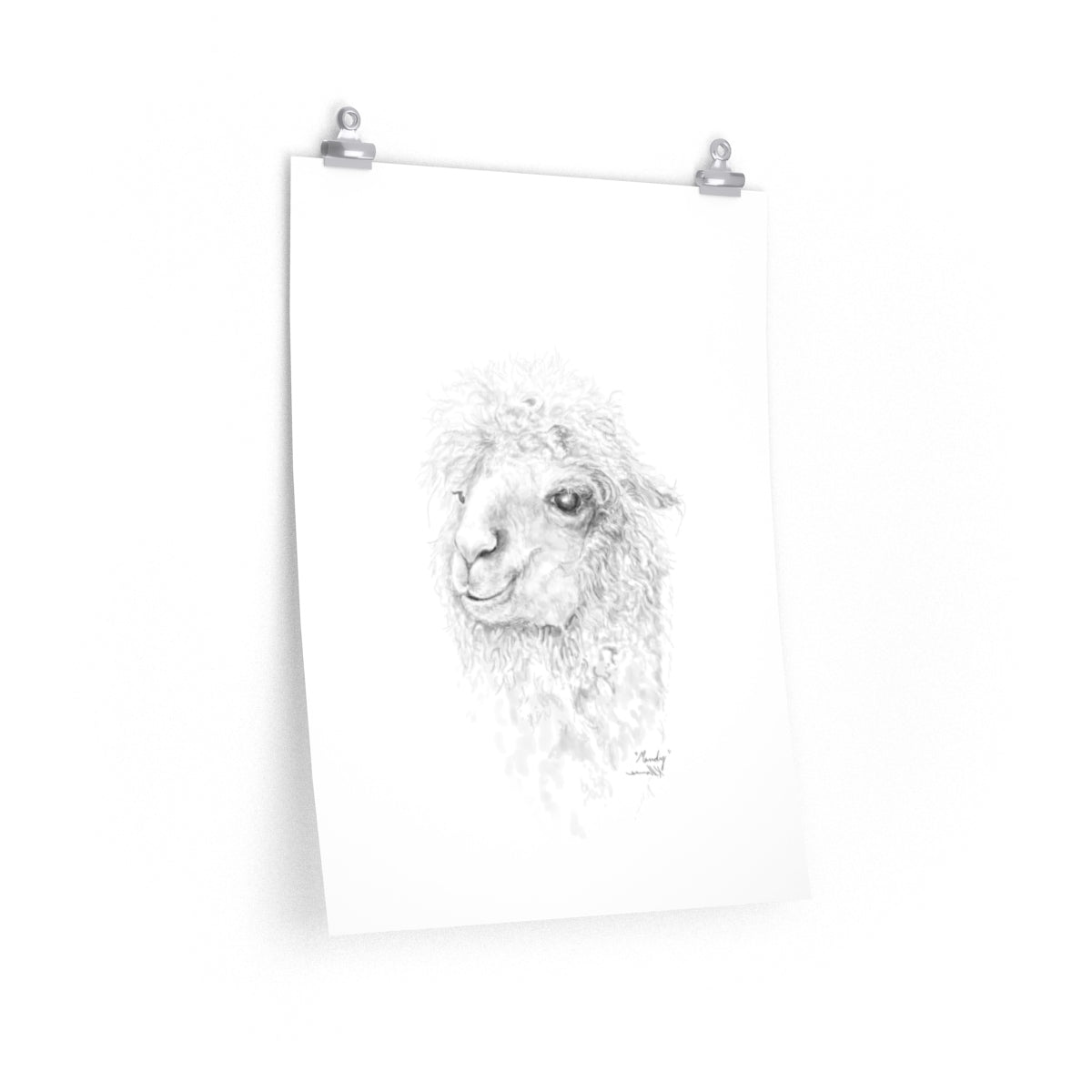 MANDY Llama- Art Paper Print