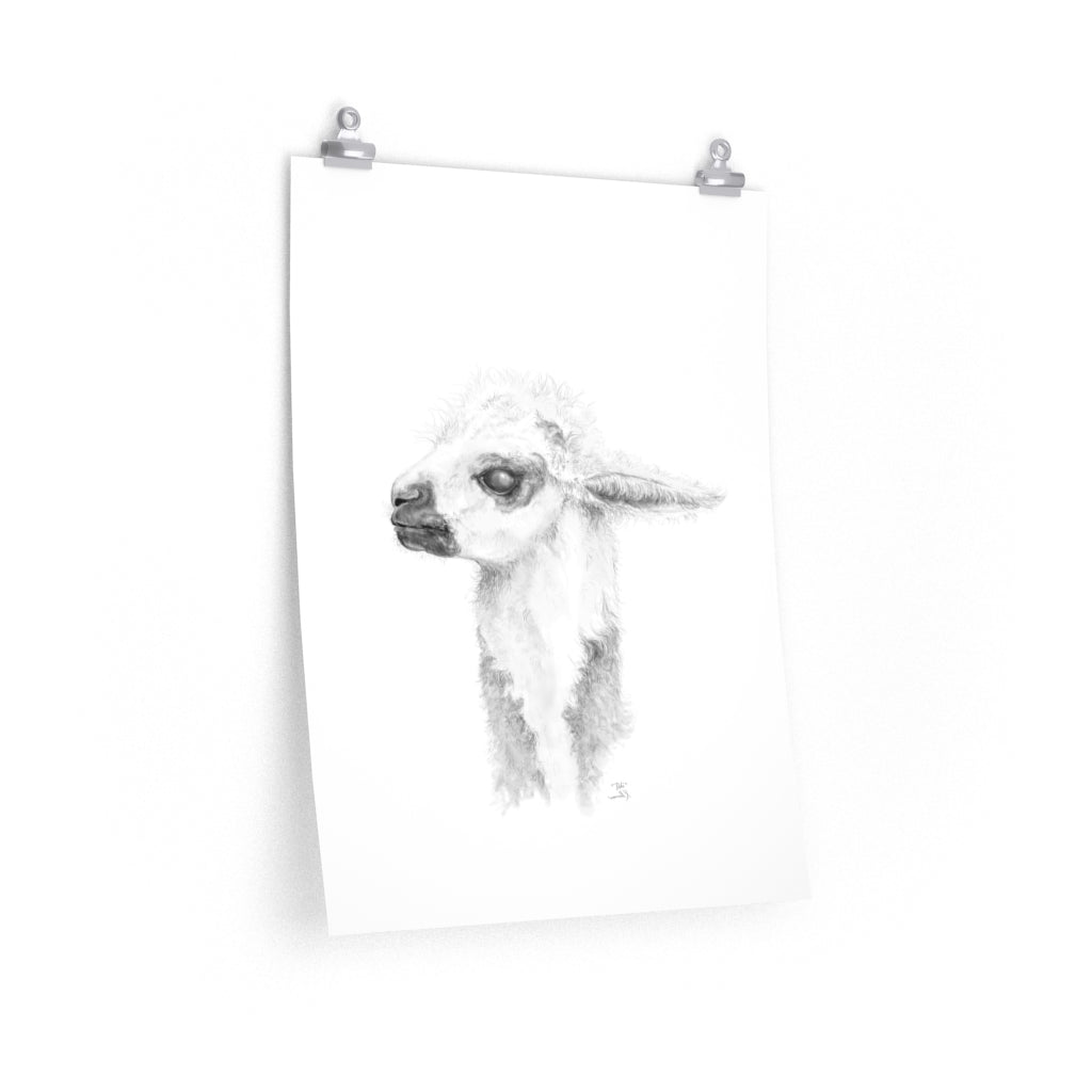 DEBI Llama- Art Paper Print