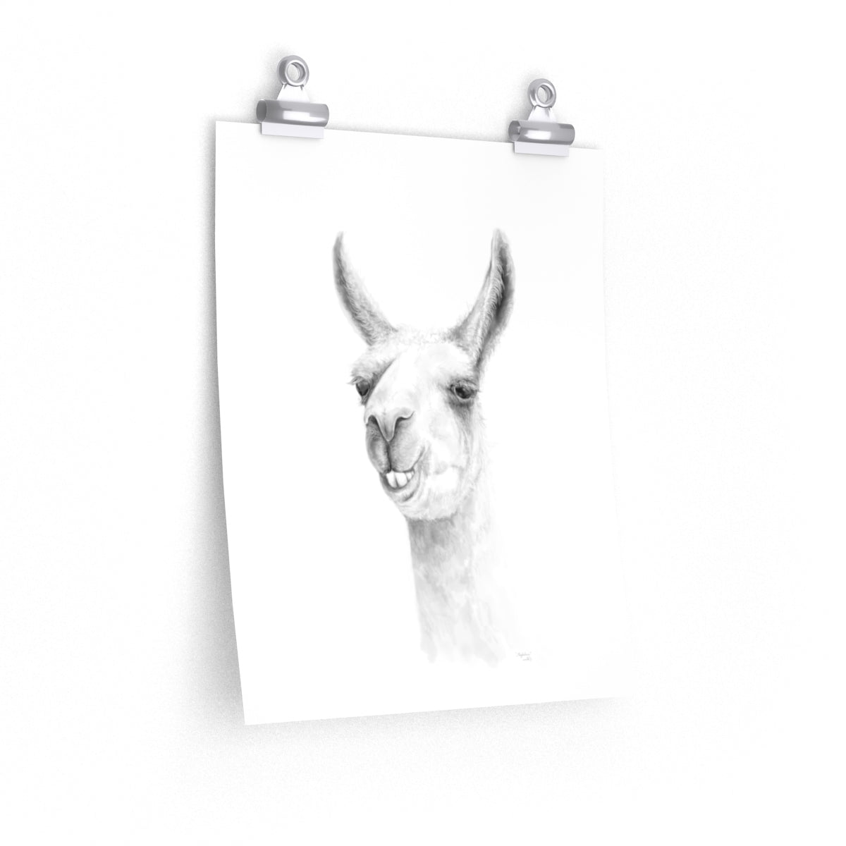 MAGDALENA Llama- Art Paper Print