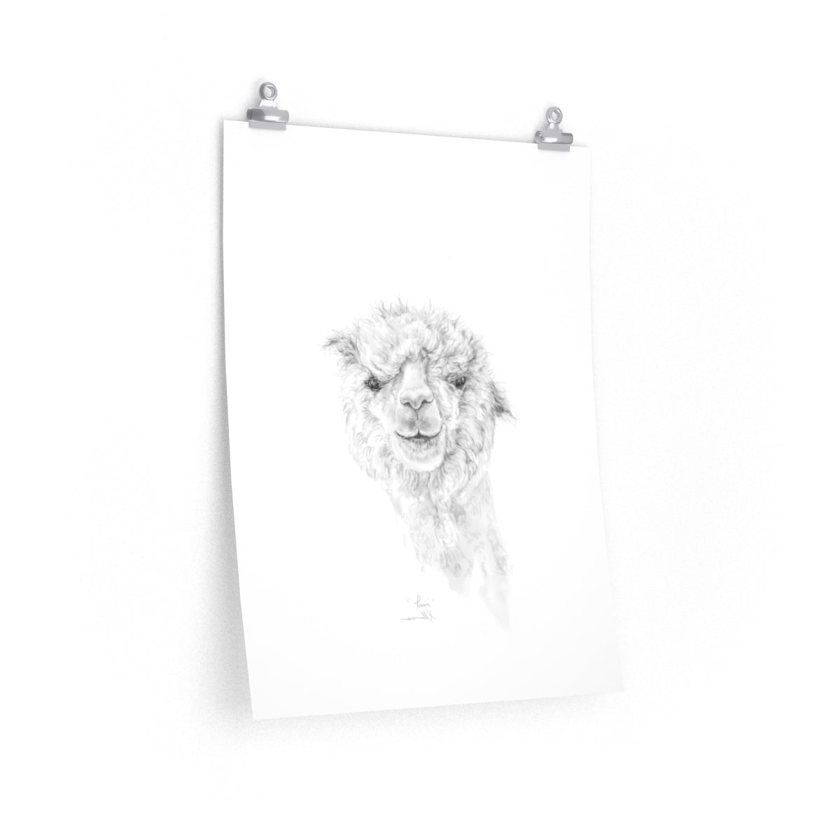 TAVI Llama- Art Paper Print