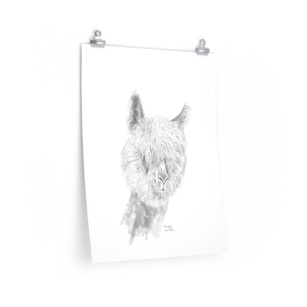 DOUGLAS Llama- Art Paper Print