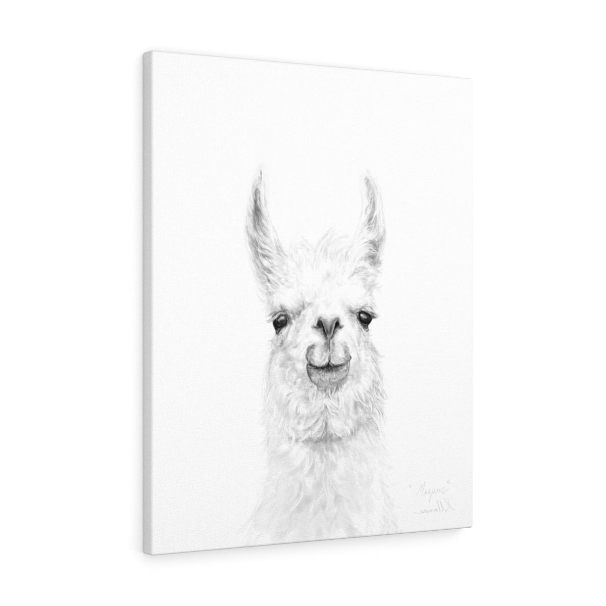 MAGNUS Llama - Art Canvas