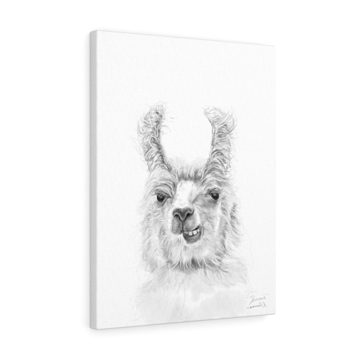DENNIS Llama - Art Canvas