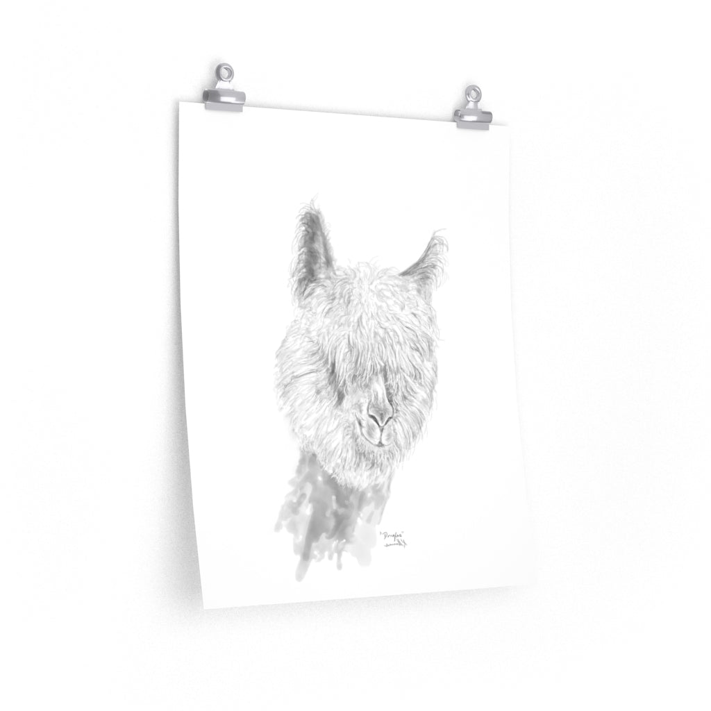 DOUGLAS Llama- Art Paper Print
