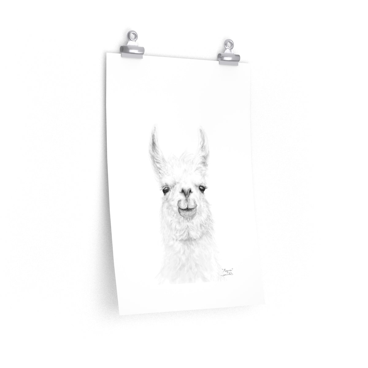 MAGNUS Llama- Art Paper Print