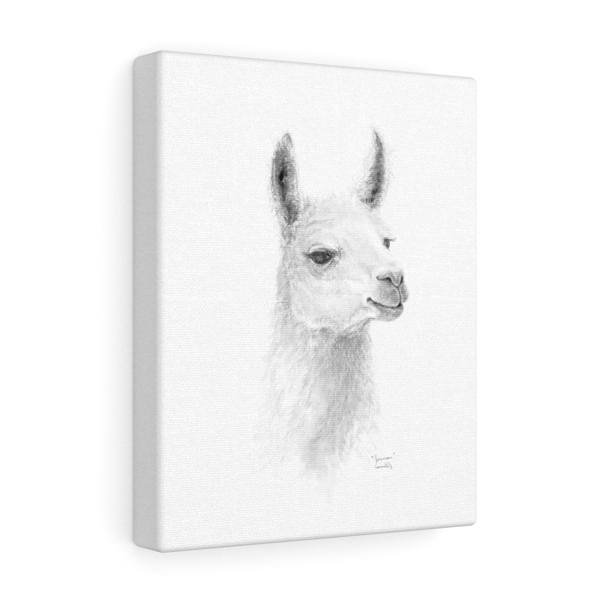 JOUNEER Llama - Art Canvas