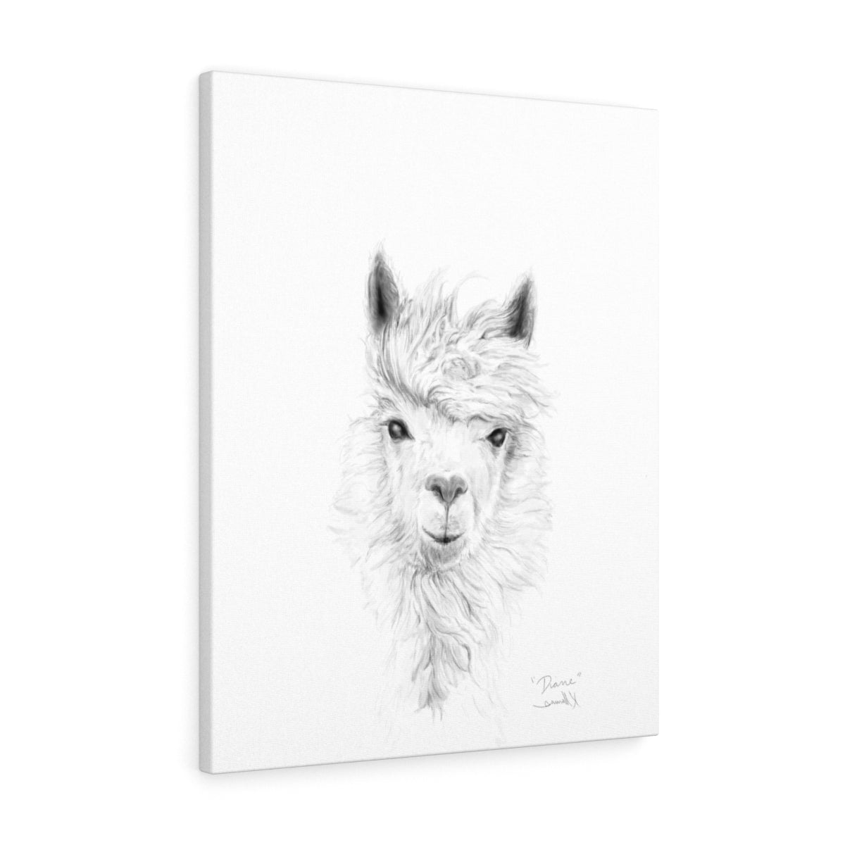 DIANE Llama - Art Canvas