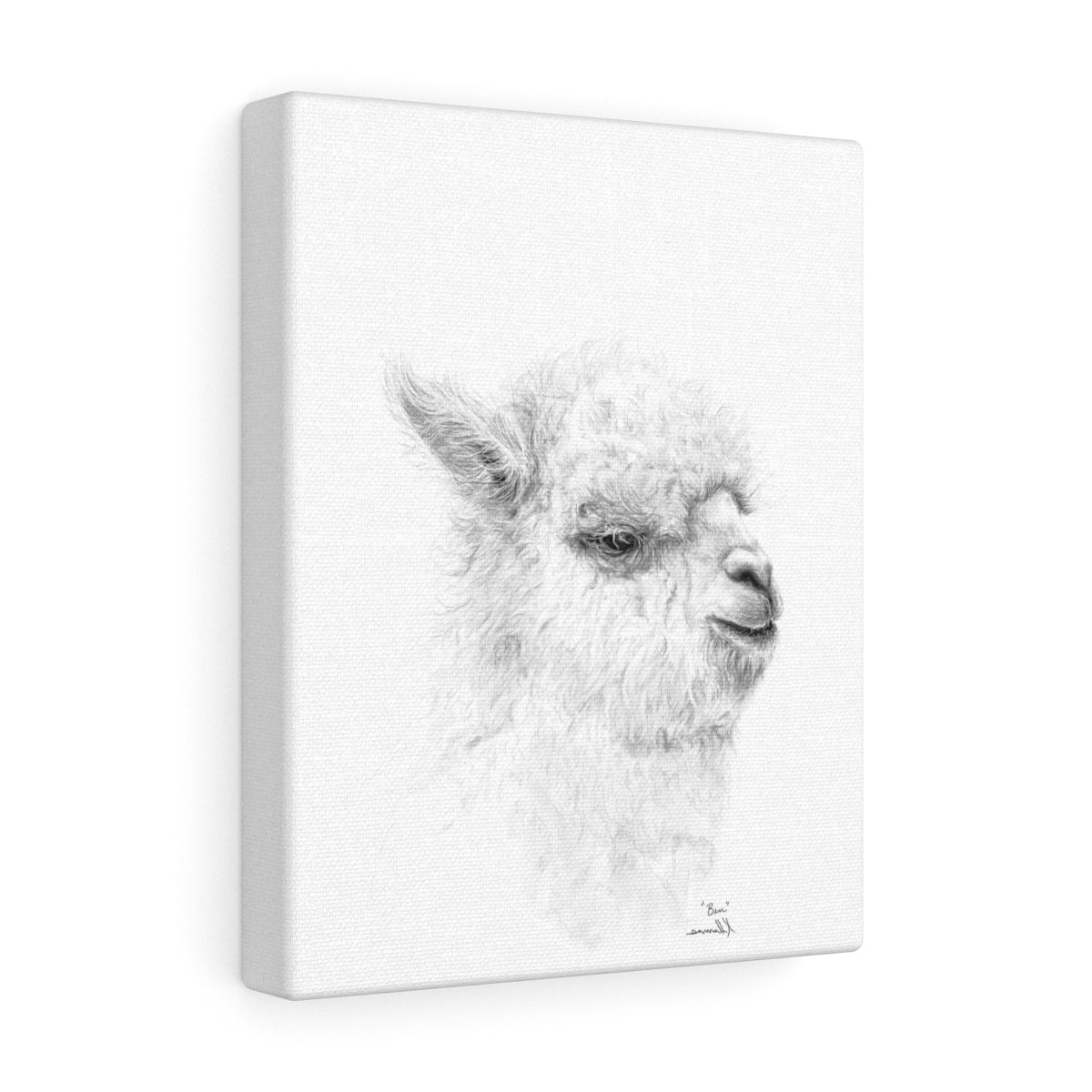 BEN Llama - Art Canvas