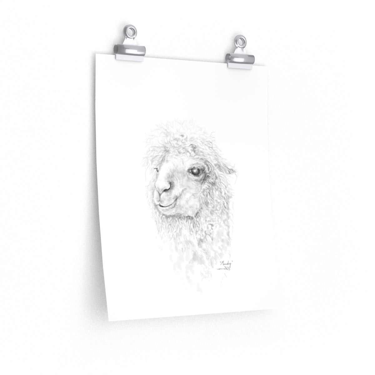 MANDY Llama- Art Paper Print