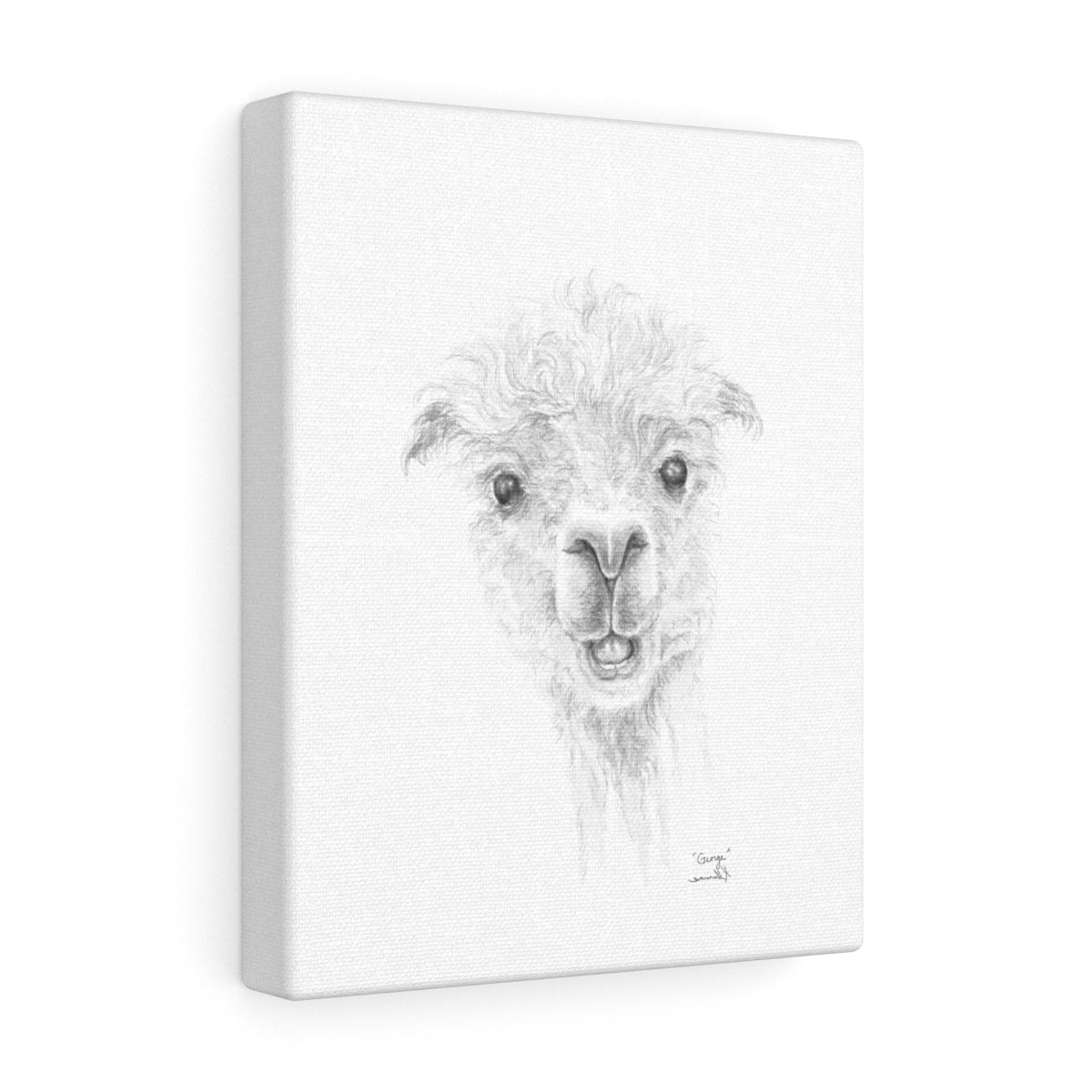 GEORGE Llama - Art Canvas