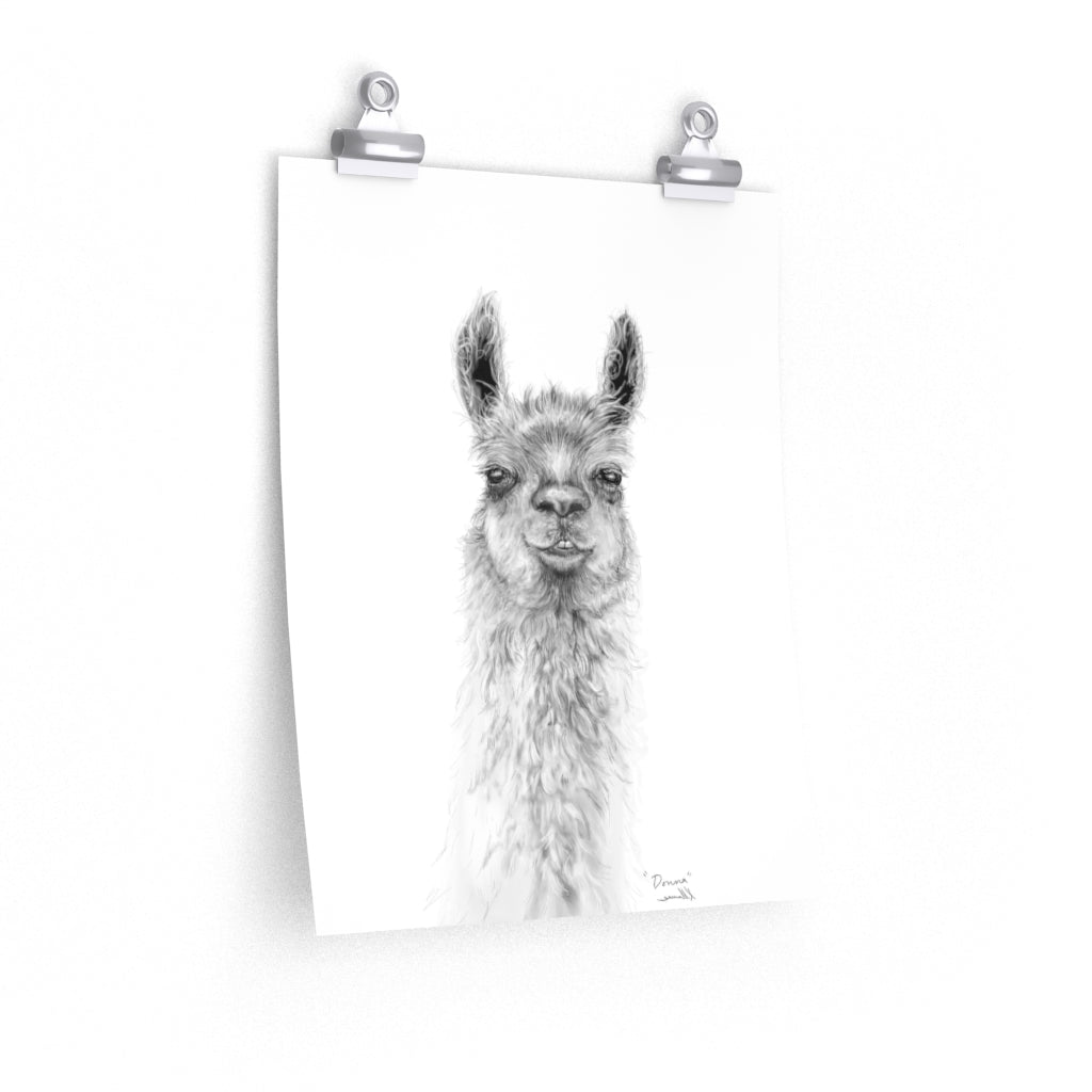 DONNA Llama- Art Paper Print