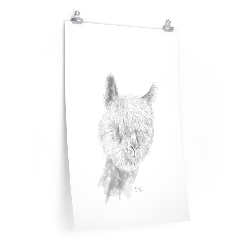 DOUGLAS Llama- Art Paper Print