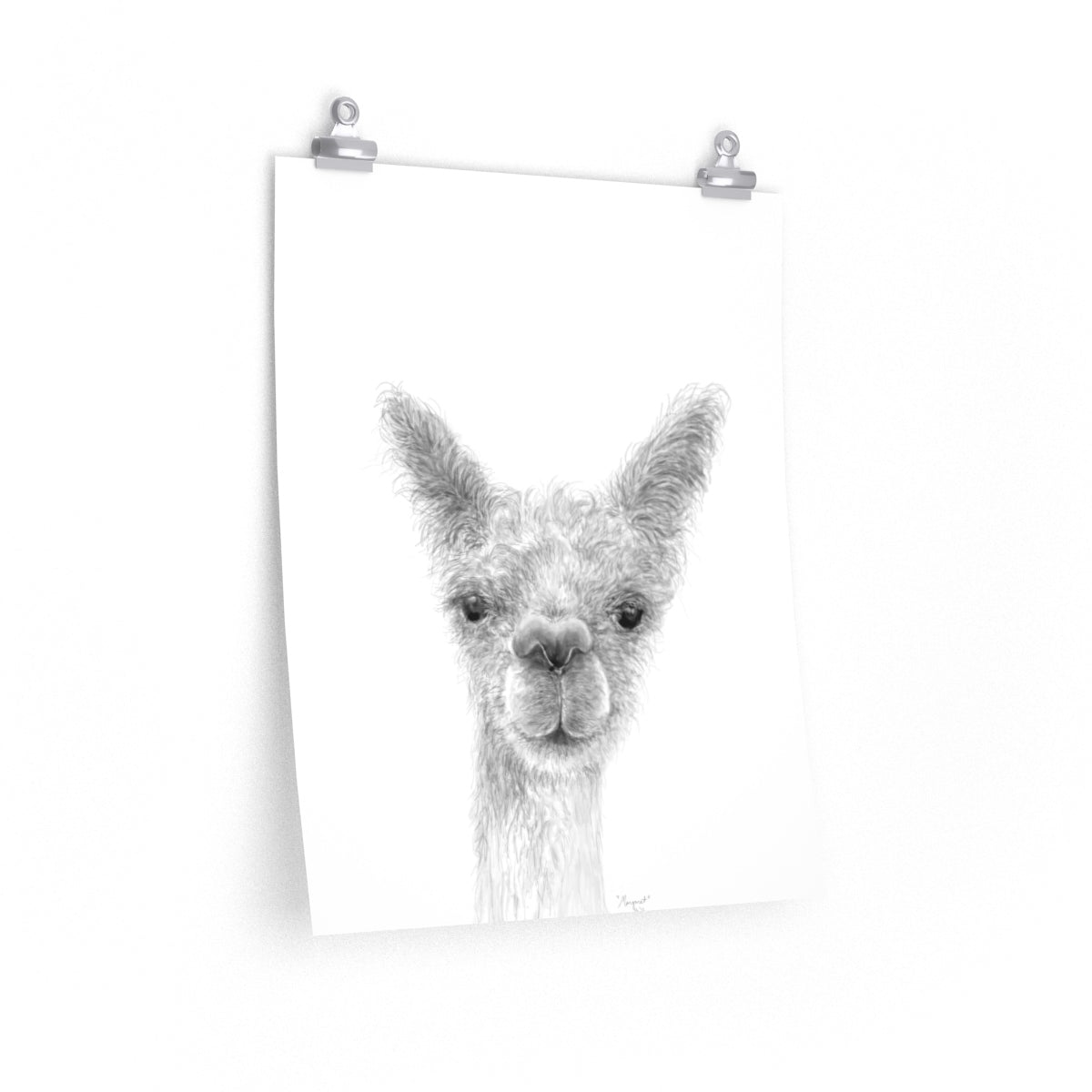 MARGARET Llama- Art Paper Print