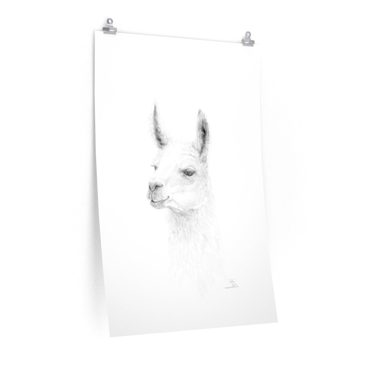 ISLA Llama- Art Paper Print