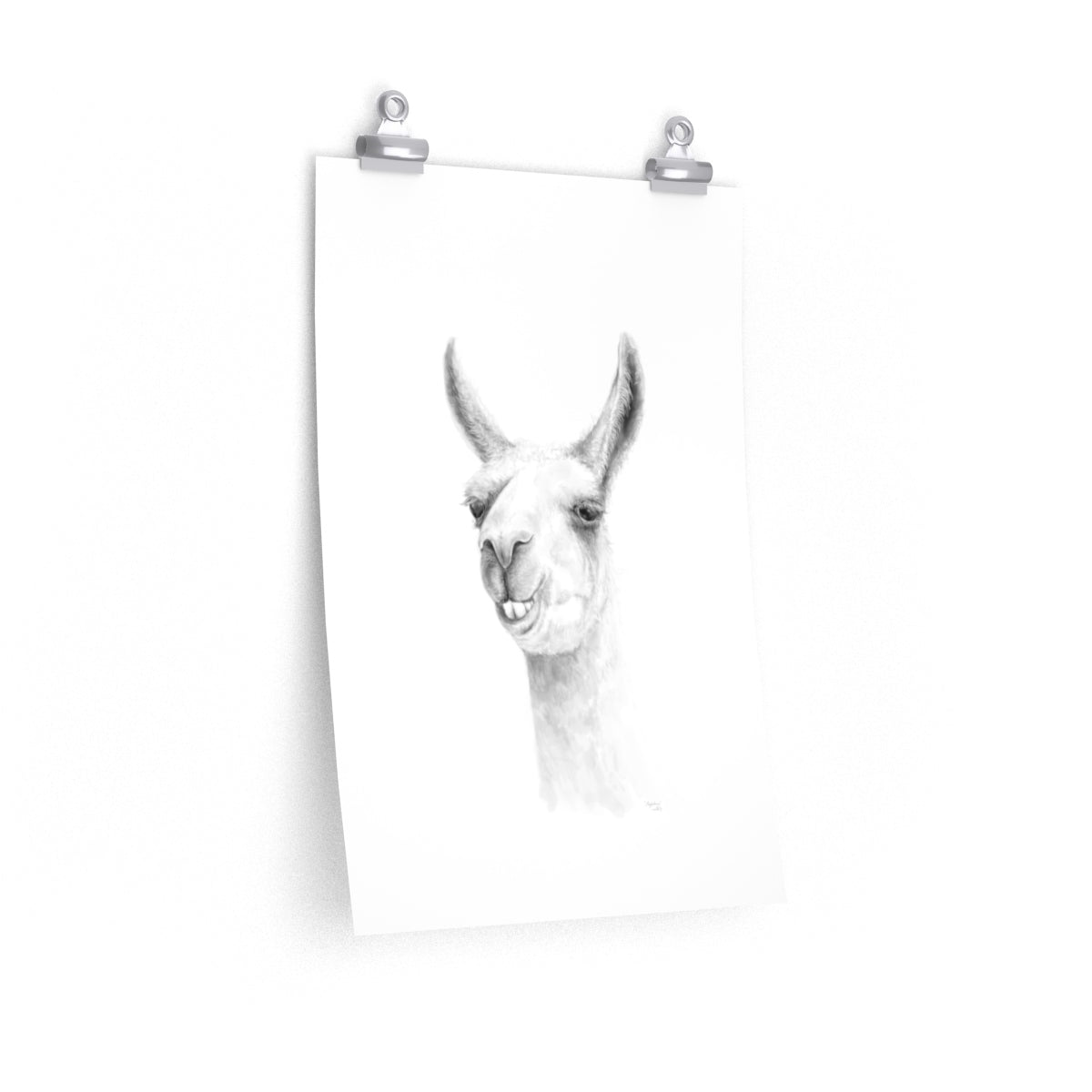 MAGDALENA Llama- Art Paper Print