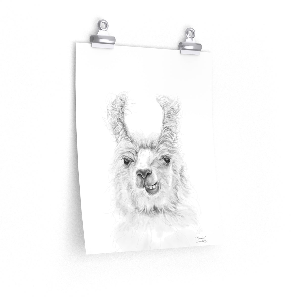DENNIS Llama- Art Paper Print