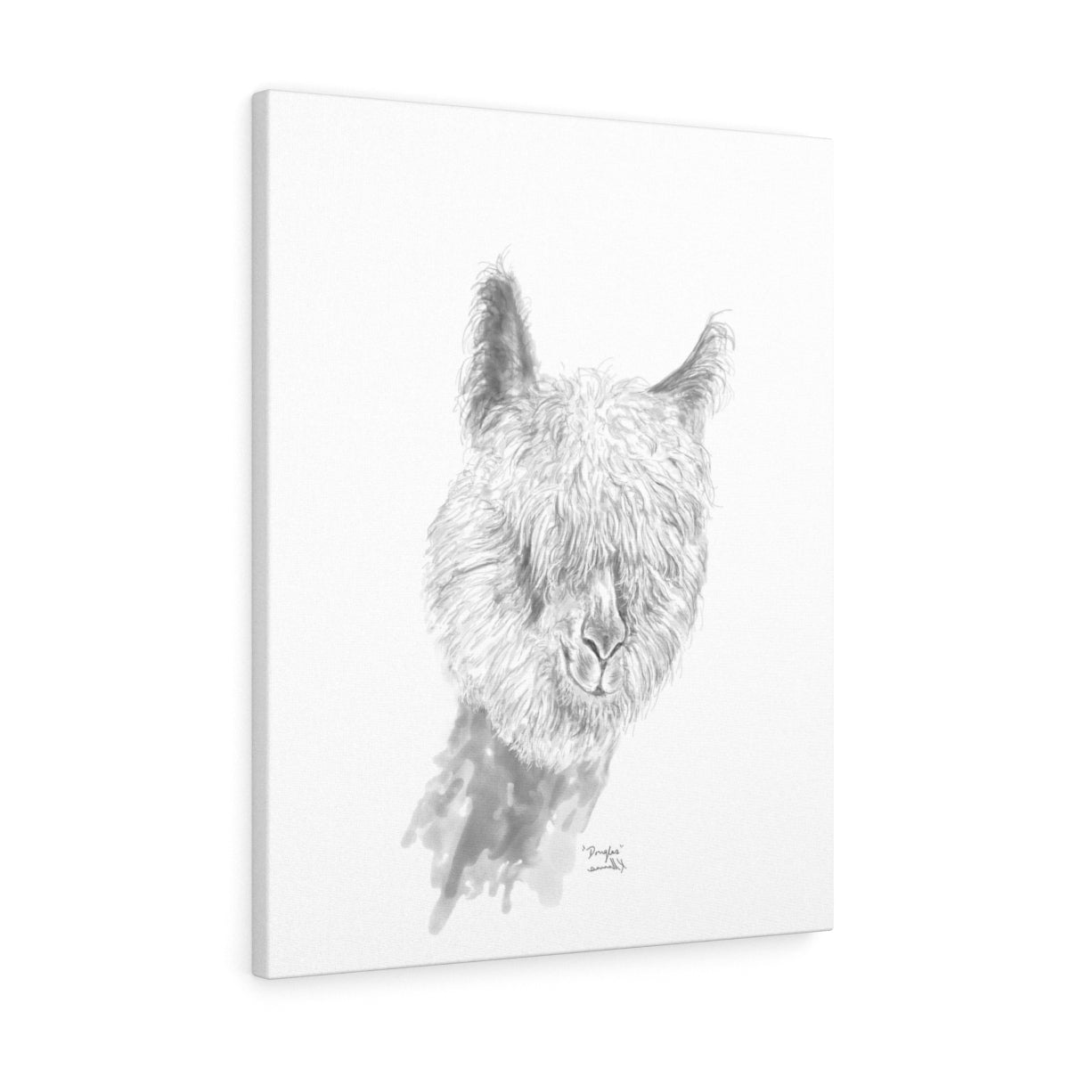 DOUGLAS Llama - Art Canvas