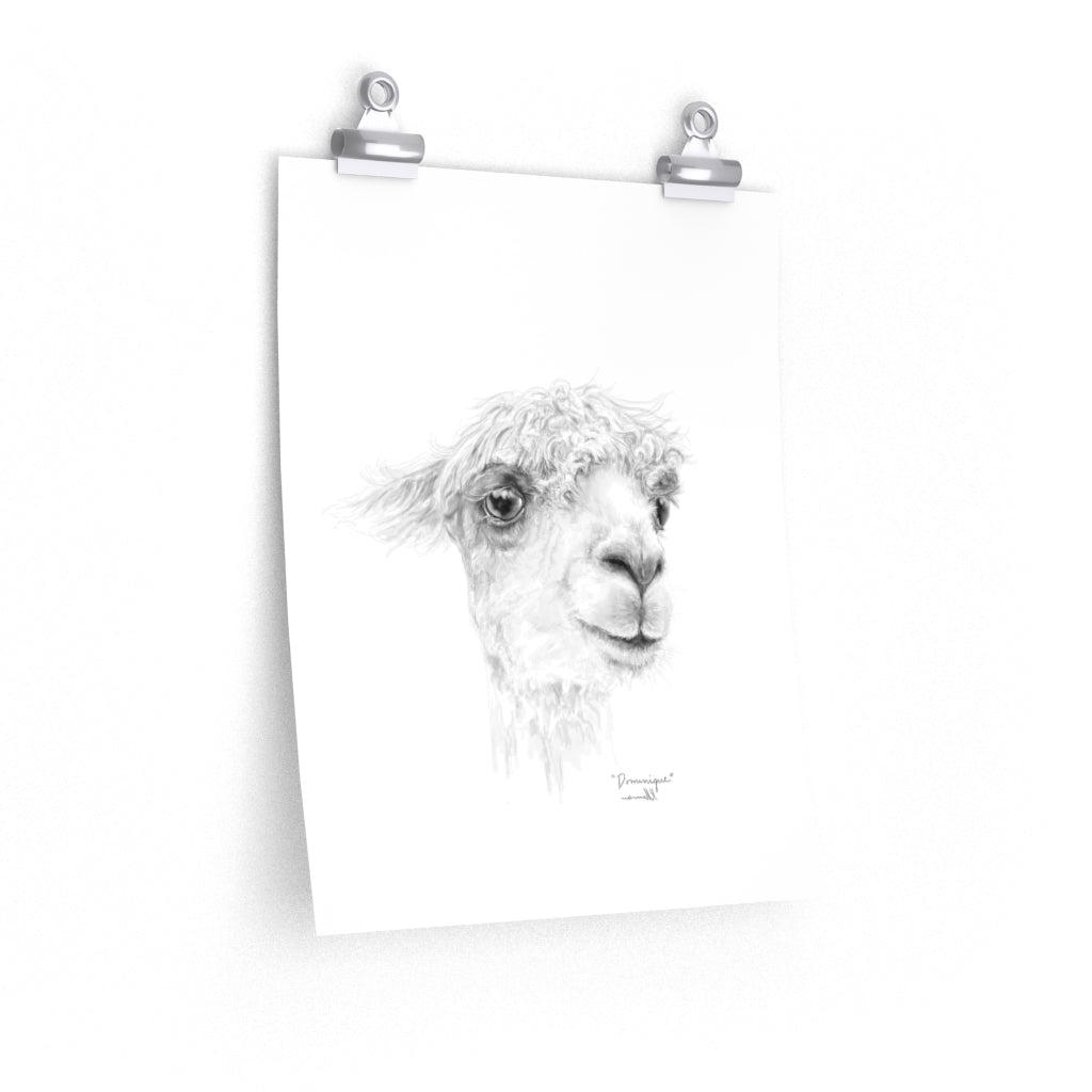 DOMINIQUE Llama- Art Paper Print