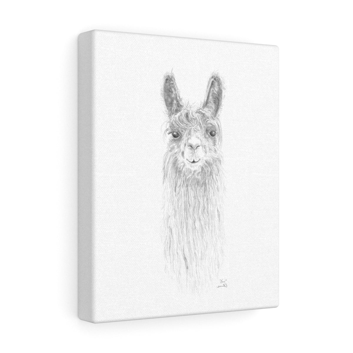 KARI Llama - Art Canvas