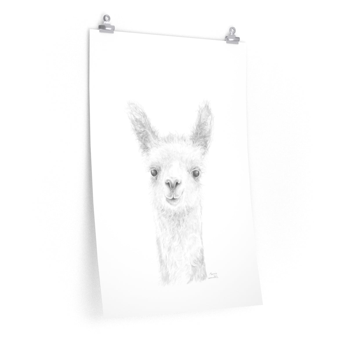 MARCIE Llama- Art Paper Print