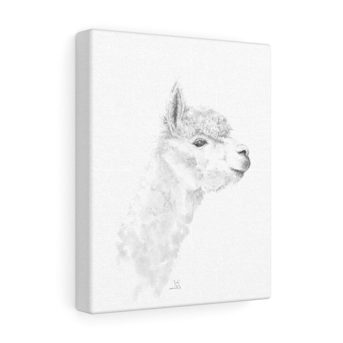 JOSH Llama - Art Canvas