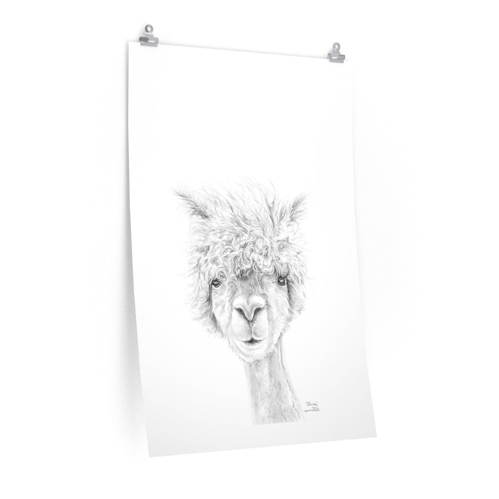 OLIVIA Llama- Art Paper Print