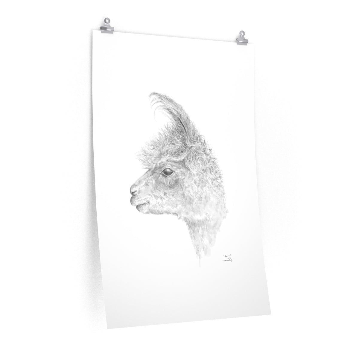 AARON Llama- Art Paper Print