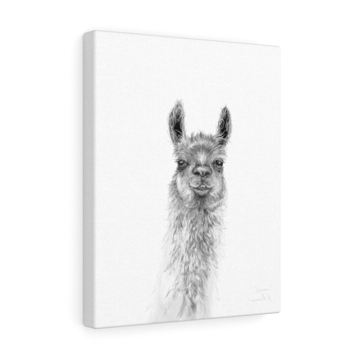 DONNA Llama - Art Canvas