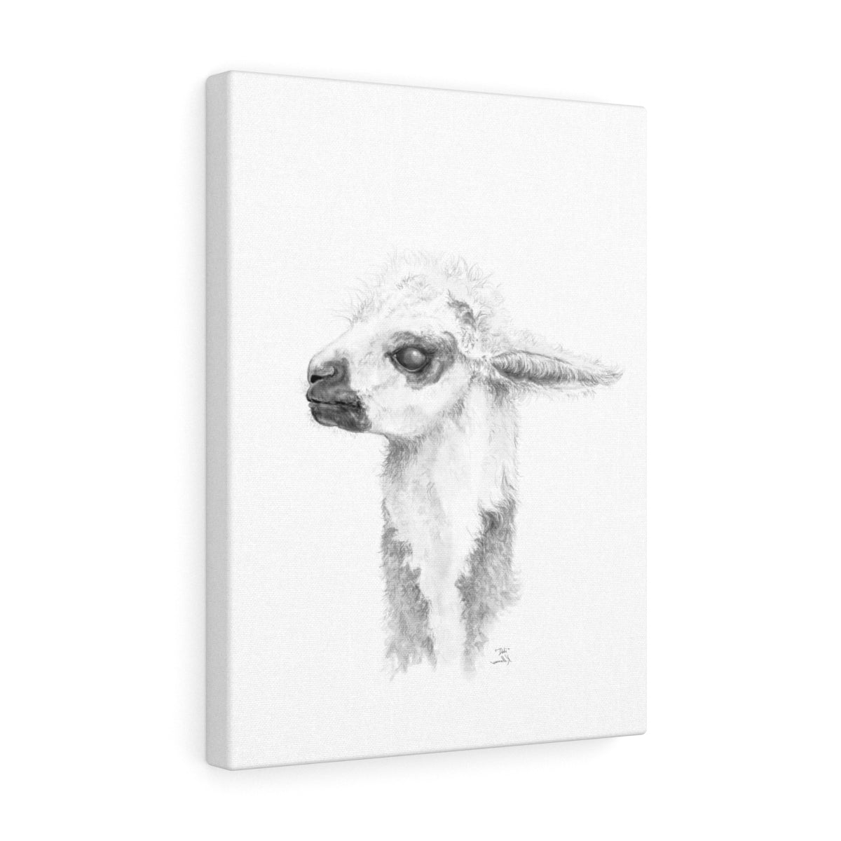 Debi Llama- Art Canvas