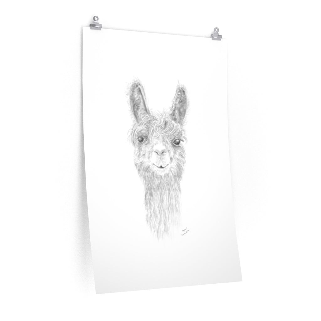 PAYTON Llama- Art Paper Print