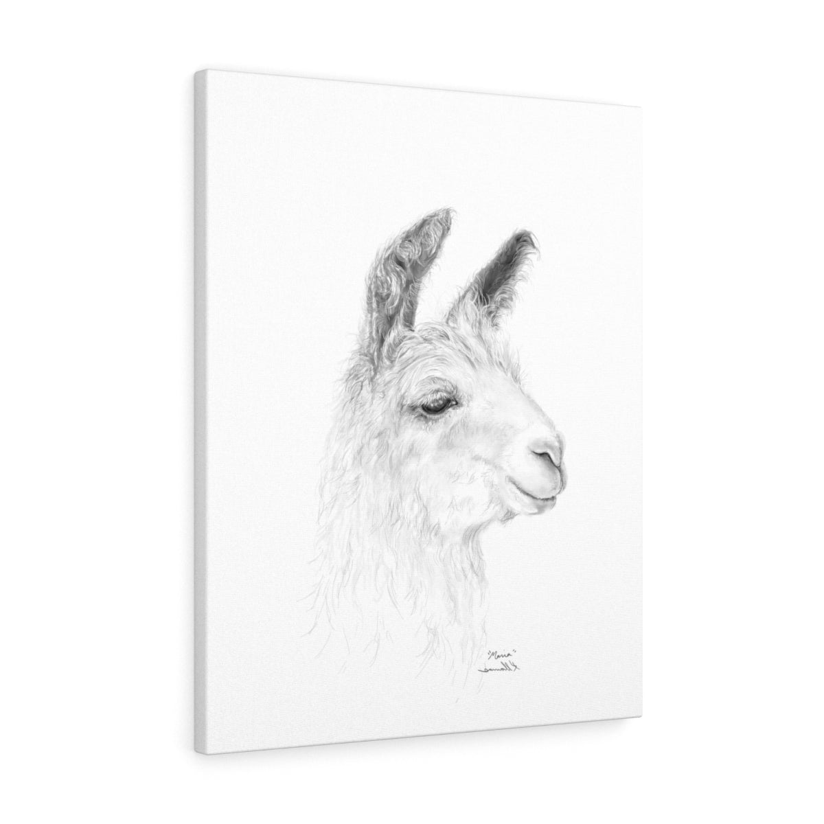 MARIA Llama - Art Canvas