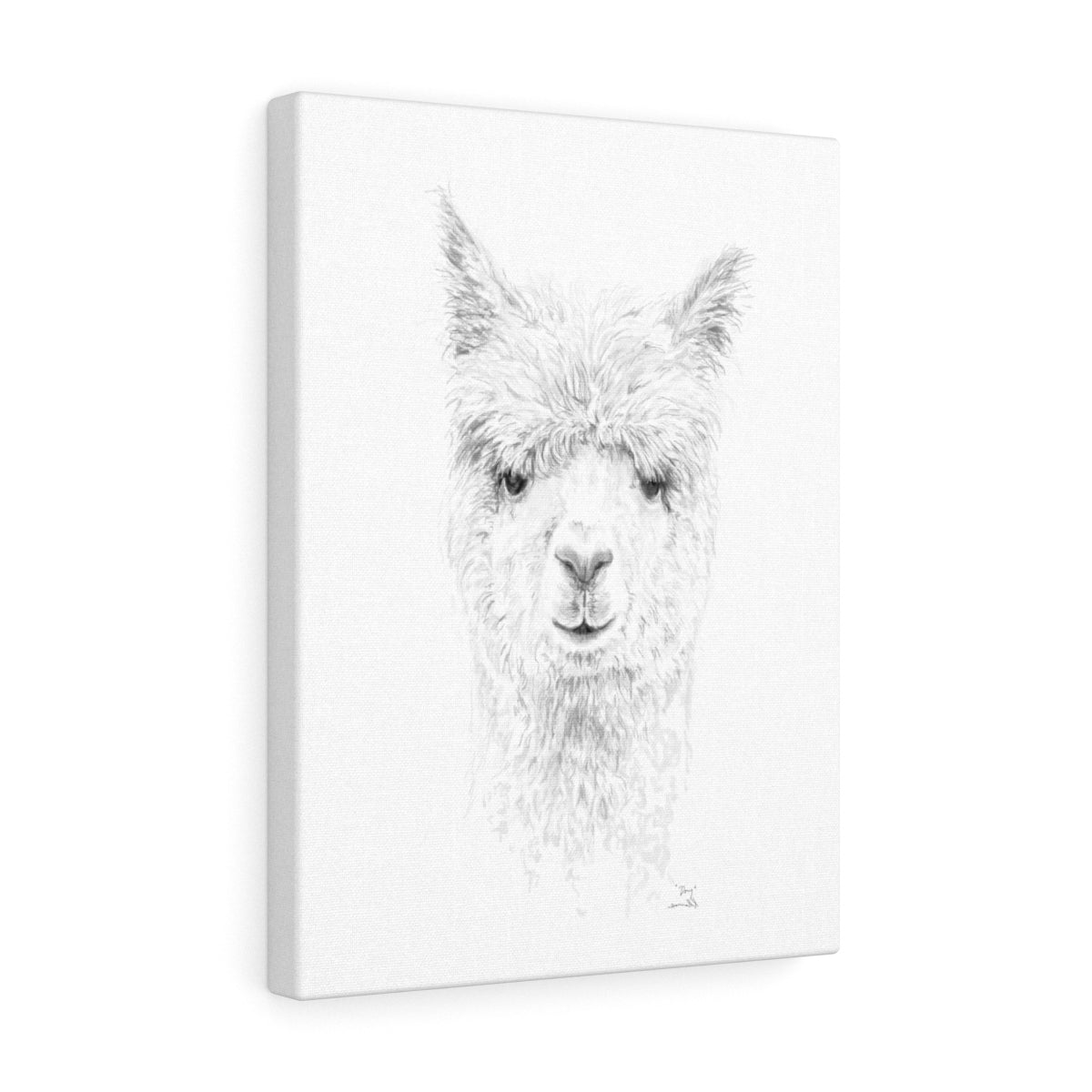 DOUG Llama - Art Canvas