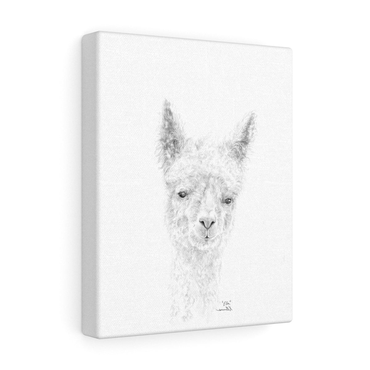 ELLA llama- Art Canvas