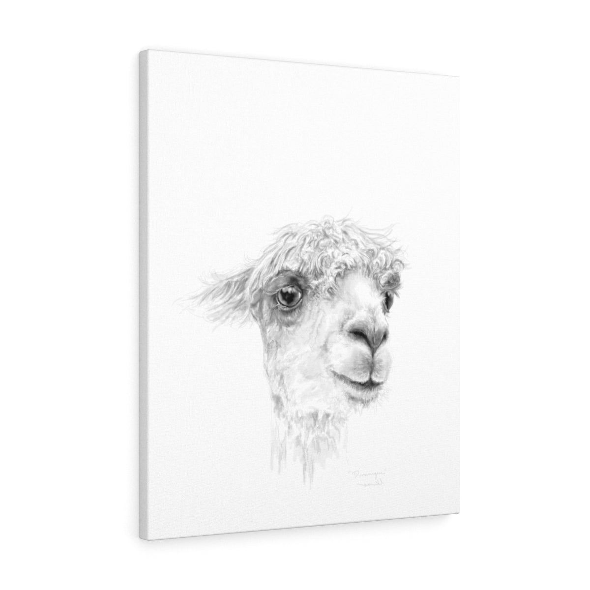 DOMINIQUE Llama - Art Canvas