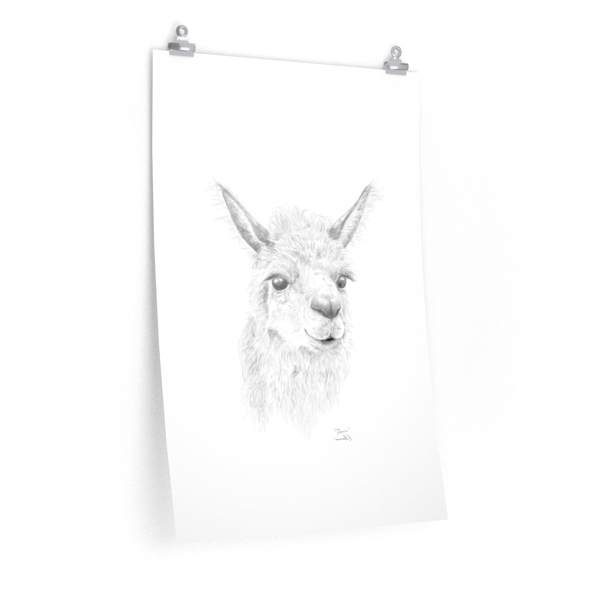 Dawn Llama- Art Paper Print