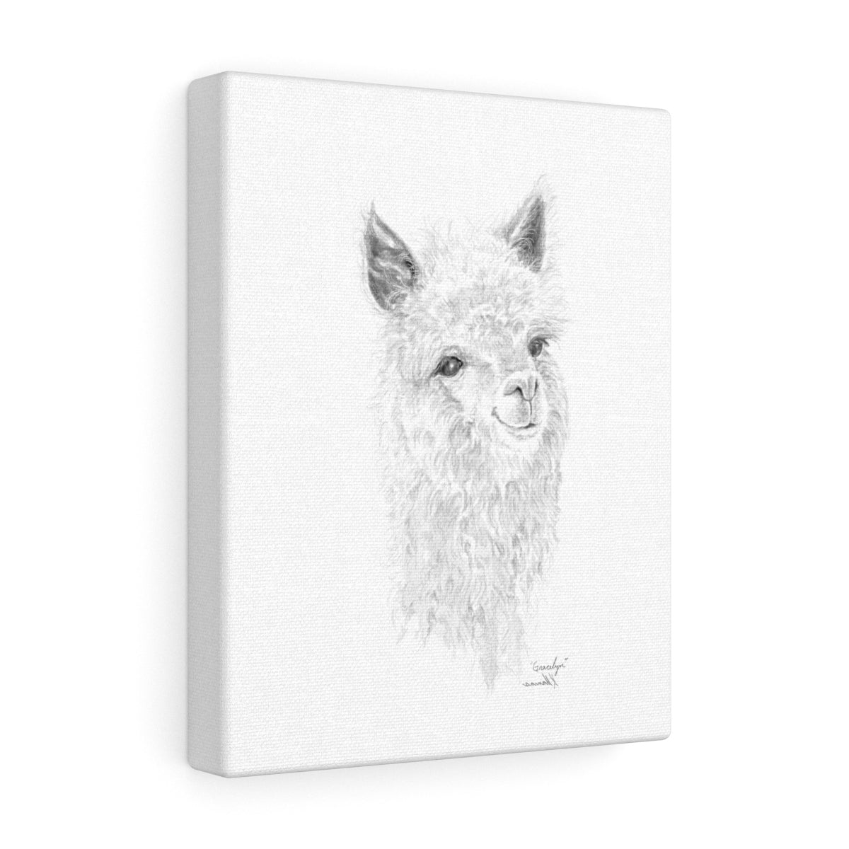 Gracelyn Llama - Art Canvas